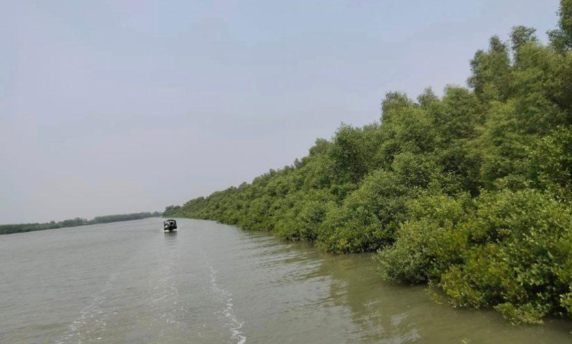 সুন্দরবনে জলদস্যুর কবল থেকে ২১ জেলে উদ্ধার