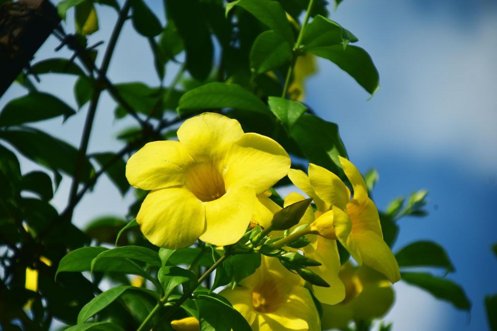 দিনের ছবি (০৩ সেপ্টেম্বর, ২০২৫)